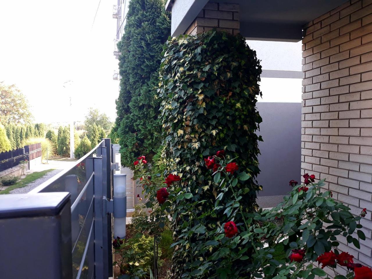 Apartments Popovic Beograd Ngoại thất bức ảnh